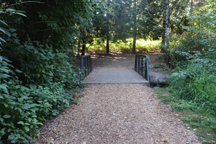 Short wooden foot bridge with railings crosses small creek – bark-chip trail leads into a forest